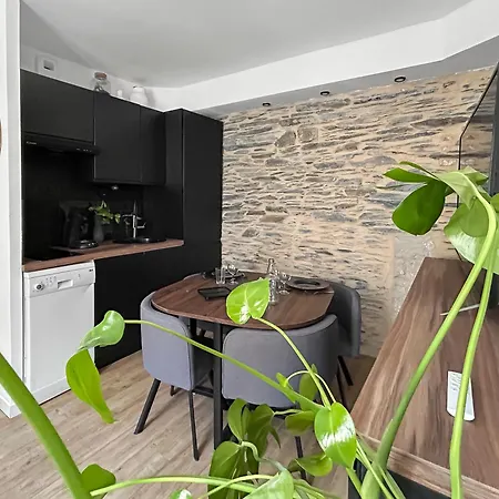 Nid Douillet Cosy Au Coeur D'angers, Ideal A Deux דירה *